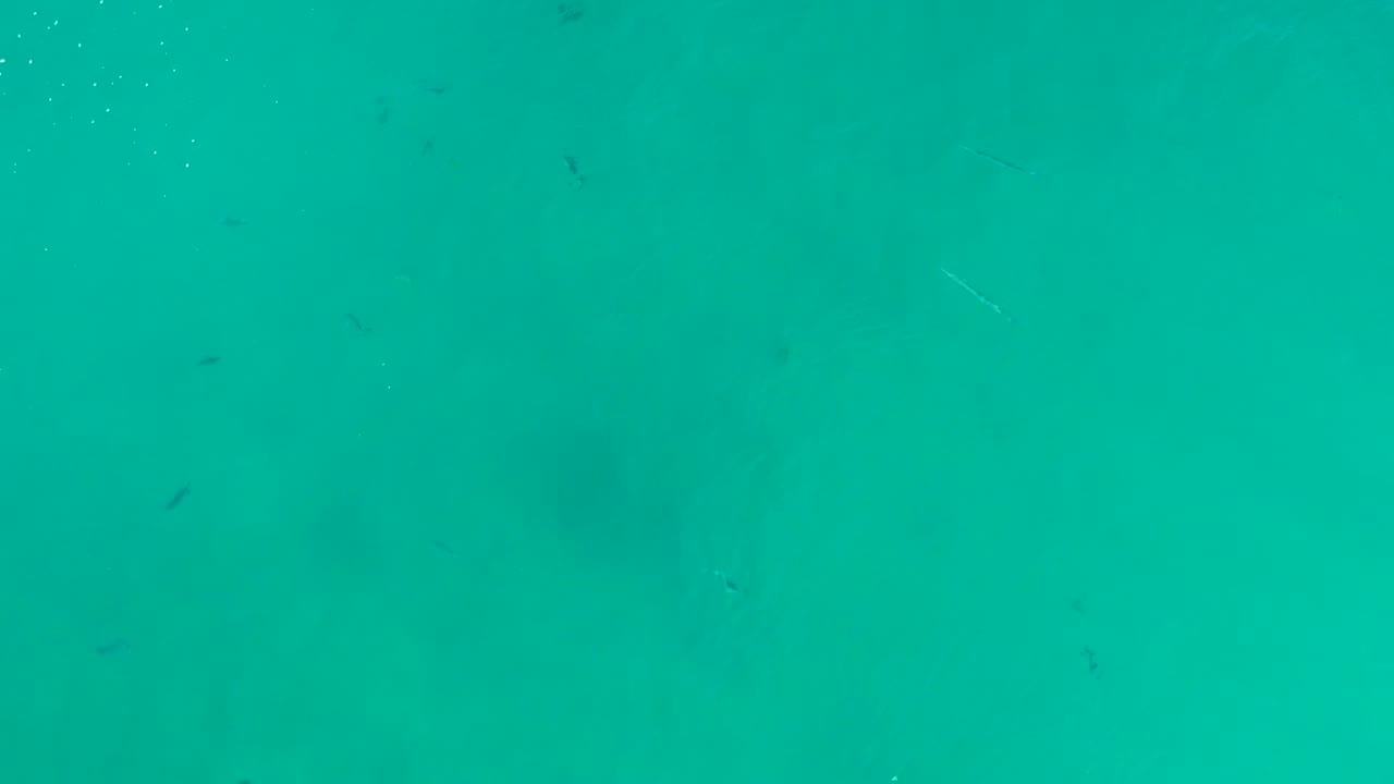 Turquoise water with tiny fish marks and soft underwater shadows.