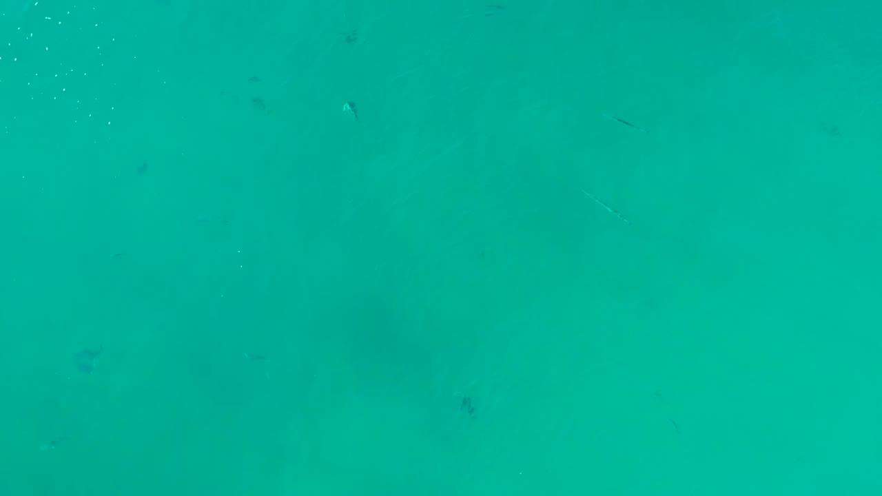 Open clear water at La Fortuna with small dark fish shapes, subtle rippled texture, and a mostly uniform turquoise background, no visible people.