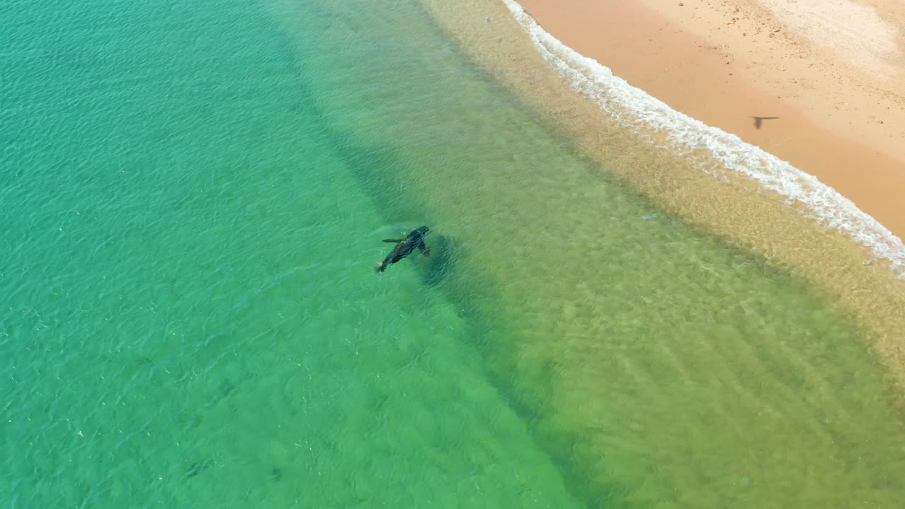 Overhead Los Frailes frame with a distant person in clear turquoise shallow water, a seagull crossing near the surf line, and pale sand at the top right.