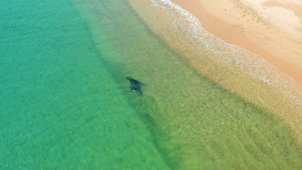 Overhead Los Frailes shoreline frame with the person closer to the beach edge, the seagull no longer visible, and rippled green water over sand.