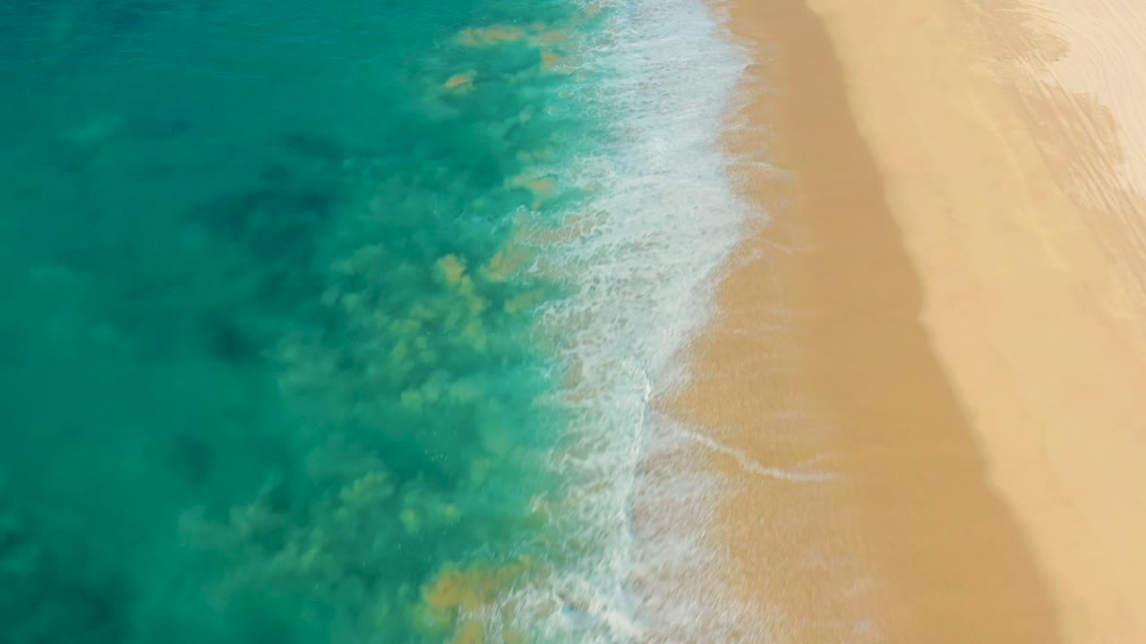 Foamy wave line along clear water and light sand