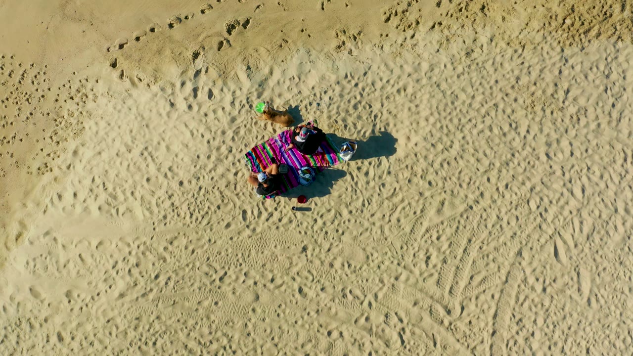 Top-down view of a beach blanket, person, dog, and footprints in sand.