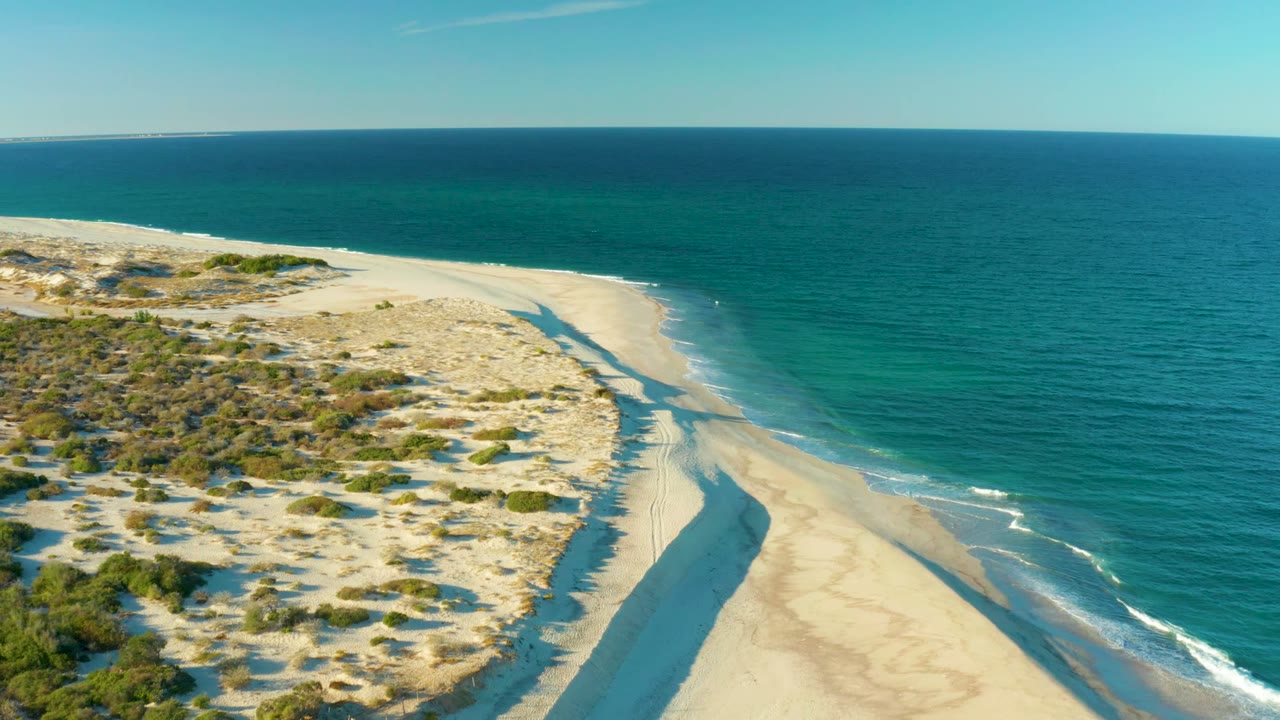 Aerial frame over Las Barracas showing pale dunes with sparse green vegetation, a diagonal wet shoreline, blue ocean, clear sky, and no visible people.