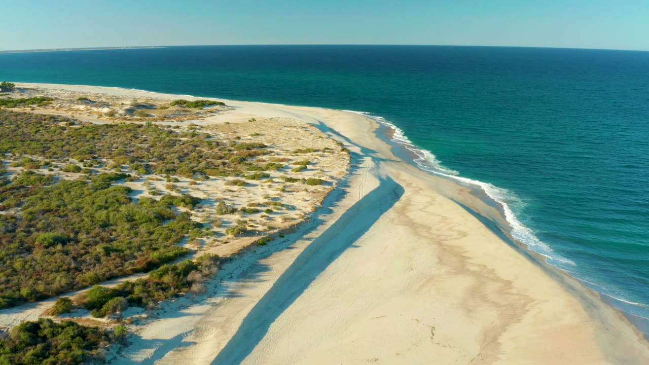 Aerial view over Las Barracas beach with pale sand, dune vegetation on the left, blue ocean on the right, and no visible people.