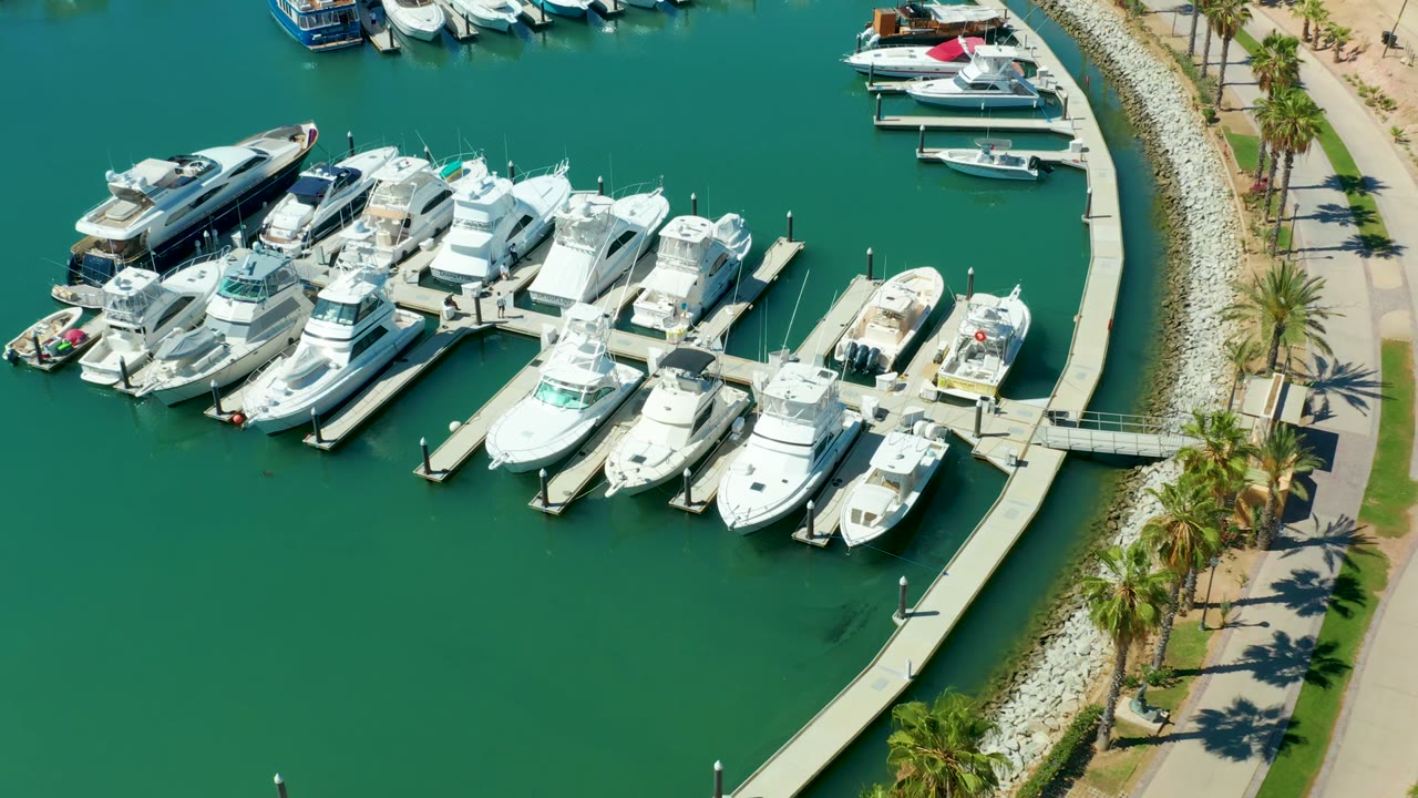 Aerial view over Puerto Los Cabos marina with white boats packed around floating docks, green water, a curved concrete pier, palm trees along the shore, and no visible people.