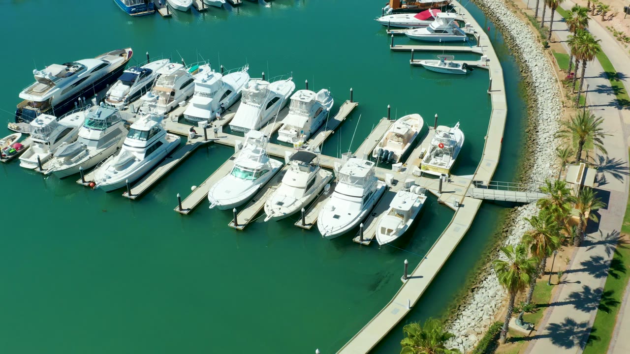 White yachts clustered at marina docks with green water around them