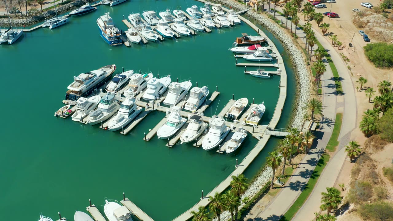High aerial frame over Puerto Los Cabos showing white yachts in curved marina slips, green water, a palm-lined road, dry ground, and no visible people.
