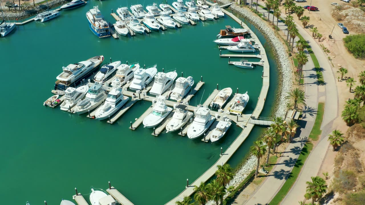 Docked yachts cluster around marina slips with a curved road and palms on the right.