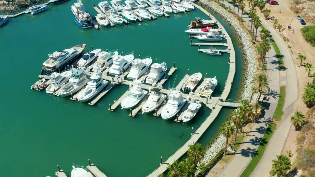 Puerto Los Cabos aerial frame showing rows of white boats in the marina, a broad area of green water, the curved shore road, palm trees, and no visible people.