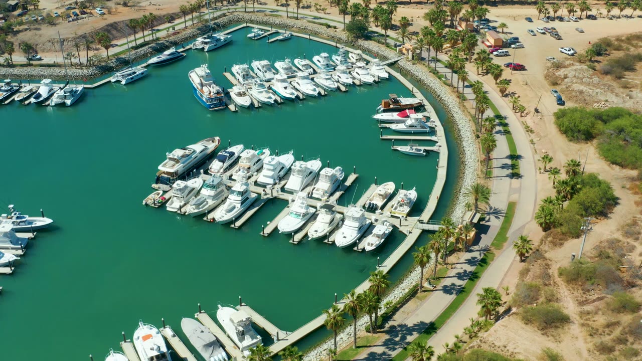 Docked boats in green water with palm trees and parked cars along the shore.