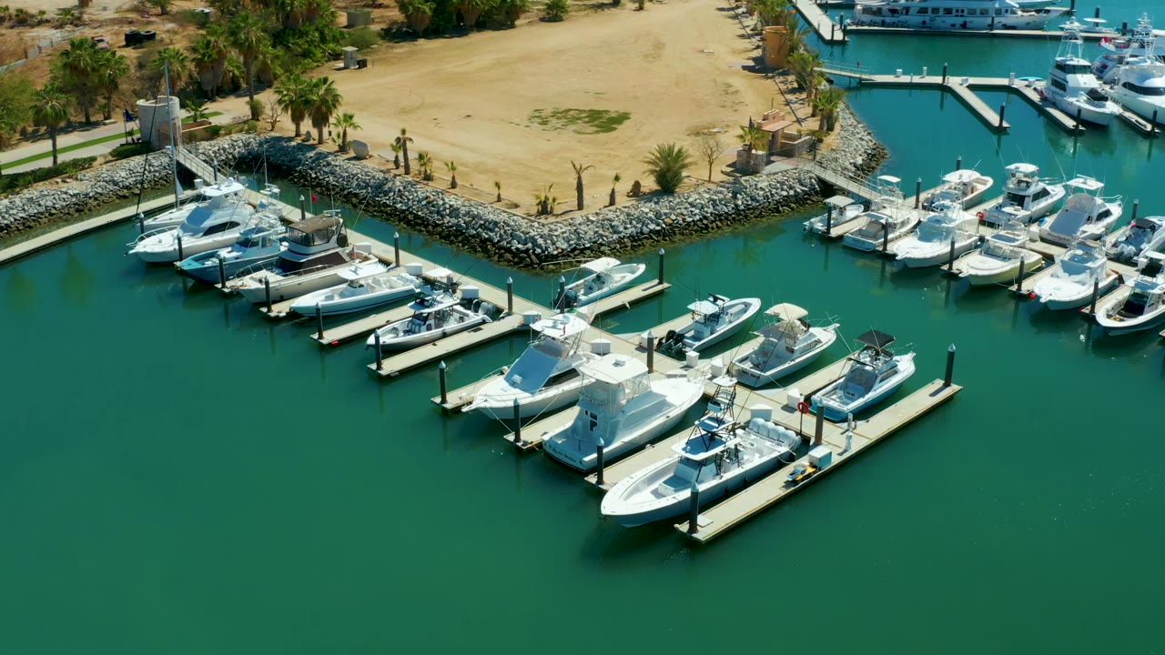 Puerto Los Cabos marina from an elevated angle, with grouped white boats along finger docks, open green water below, palm trees and sandy shoreline above, and no visible people.
