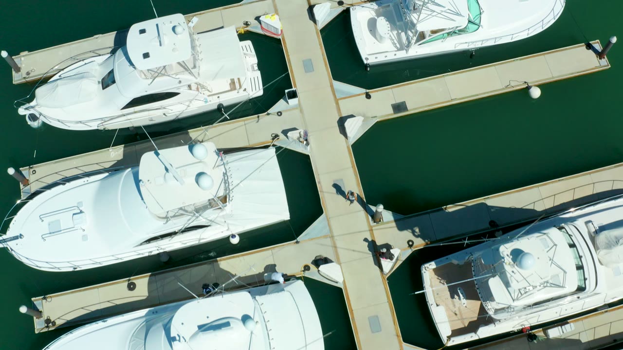 White yachts in marina slips with a central dock crossing green water.