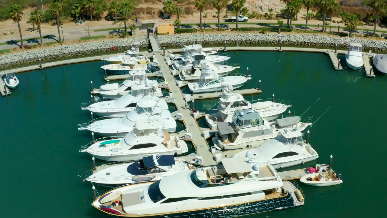 High aerial frame over Puerto Los Cabos marina showing rows of white yachts, floating docks, green harbor water, shoreline rocks, a road, palms, and no visible people.