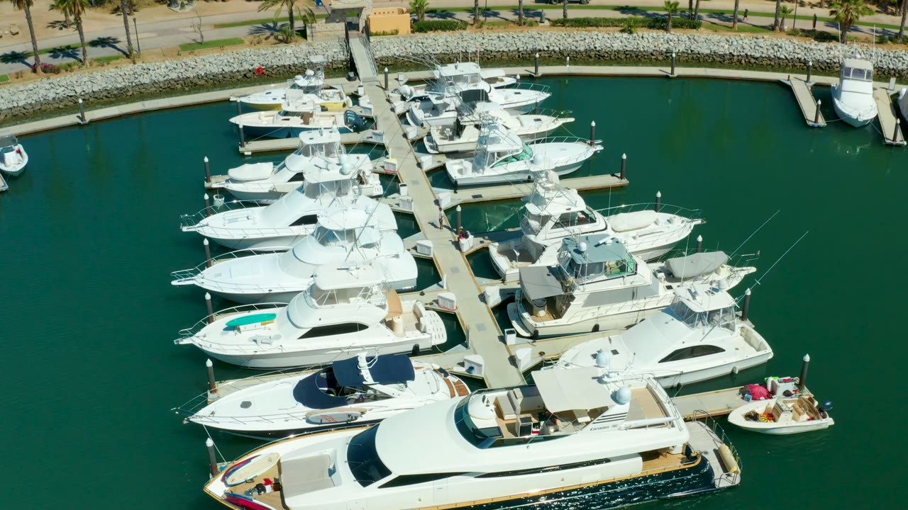 Puerto Los Cabos marina from above, with clustered white yachts on both sides of the dock, calm green water, a narrow shoreline road, palm trees, and no visible people.
