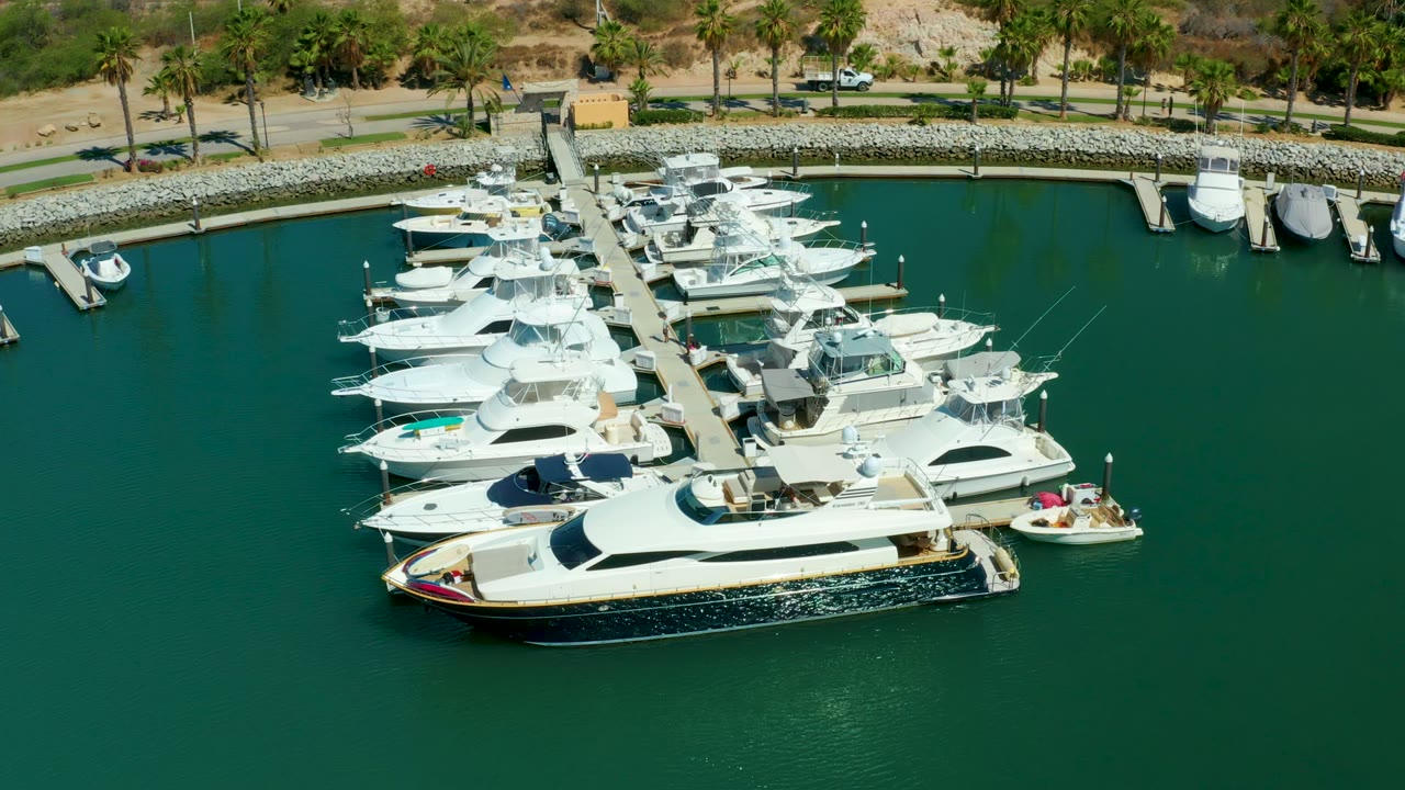 Cluster of white yachts moored along a dock with cars on the road beyond.