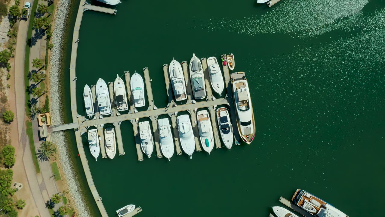 Overhead view of a Puerto Los Cabos marina dock with two rows of white boats, curved shoreline path at left, green water at right, and no visible people.