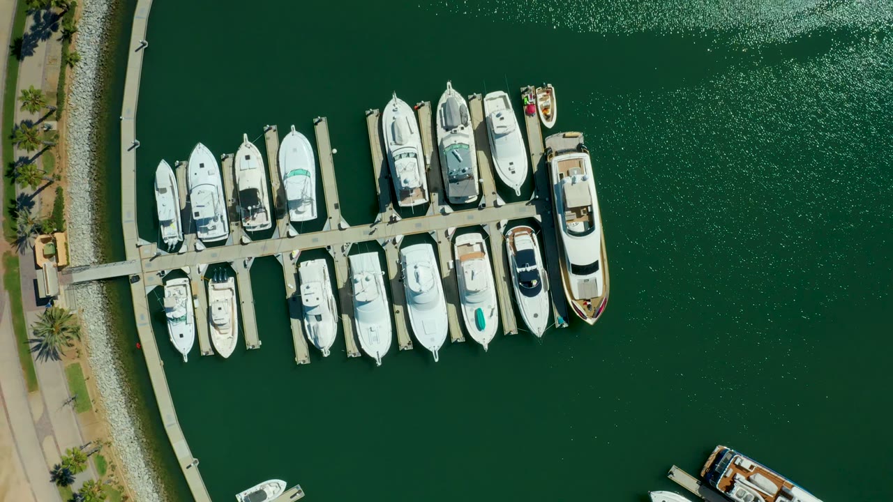 White boats arranged along a marina dock beside green water.