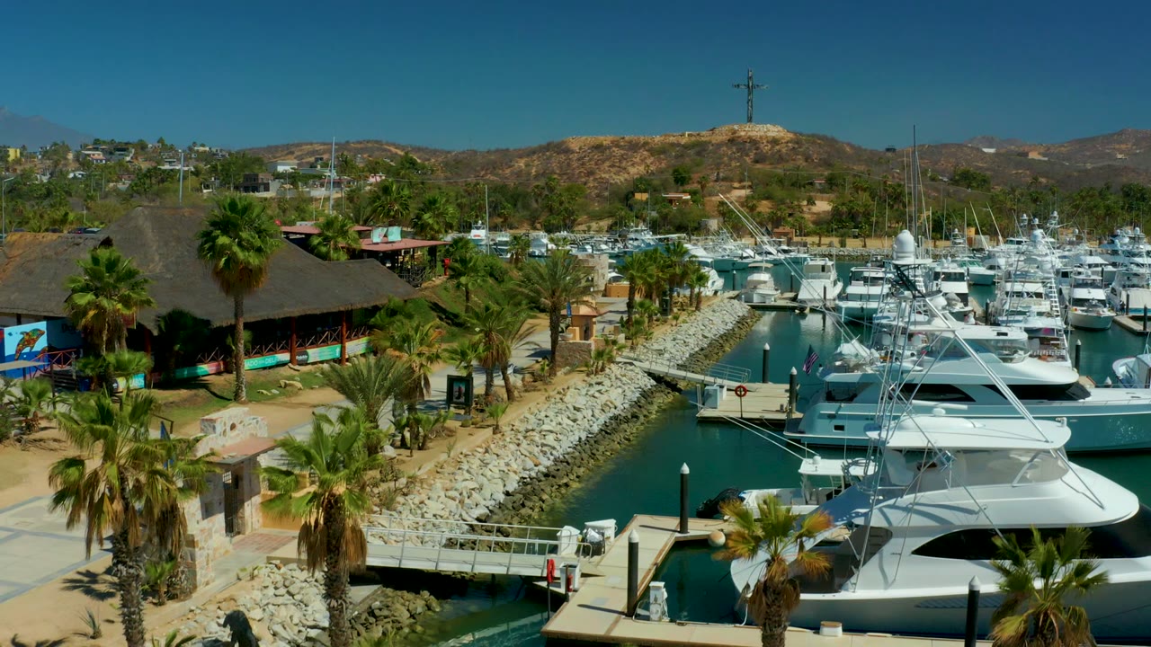 Marina boats and palm trees beside a walkway and rocky channel.