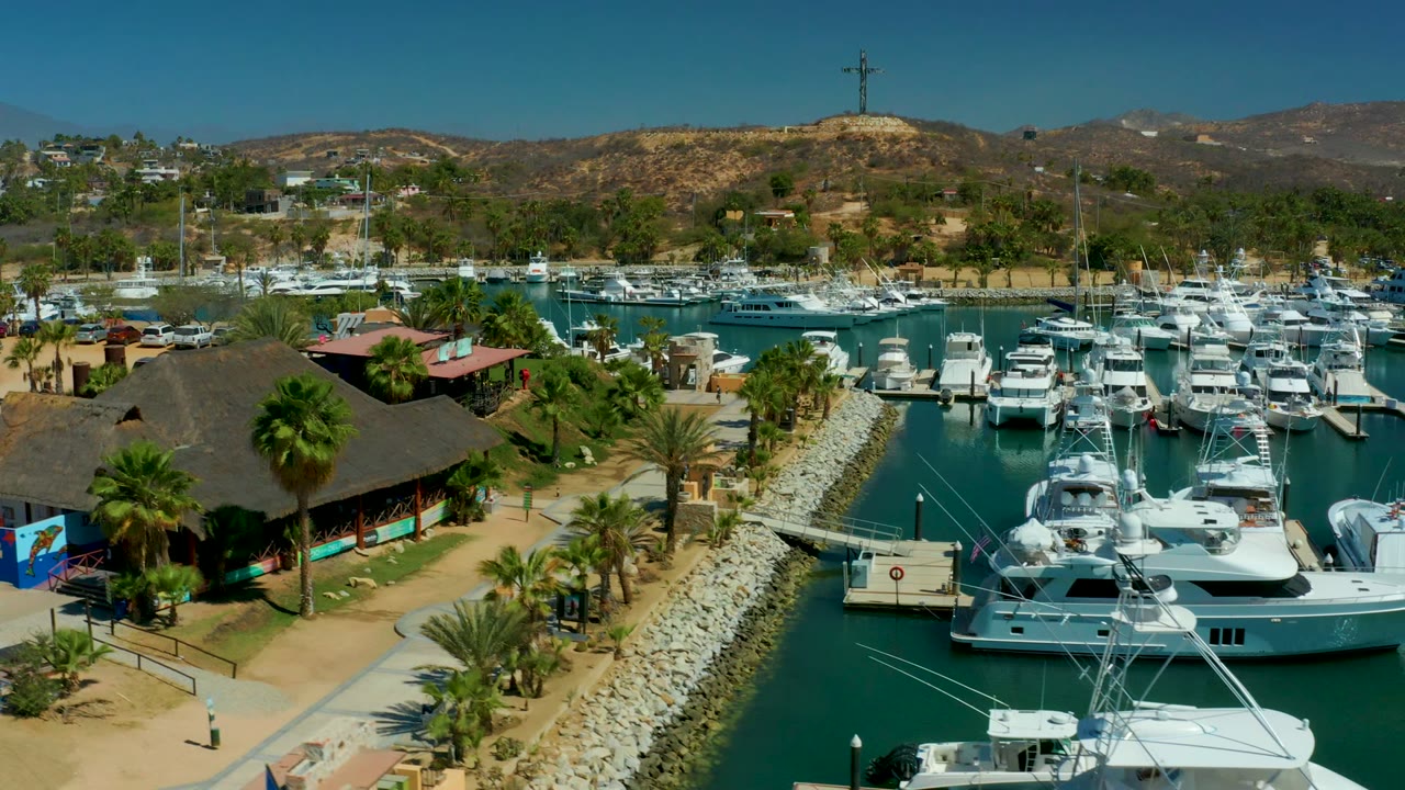 Yachts and dock slips in a marina with palms, paths, and hills behind.