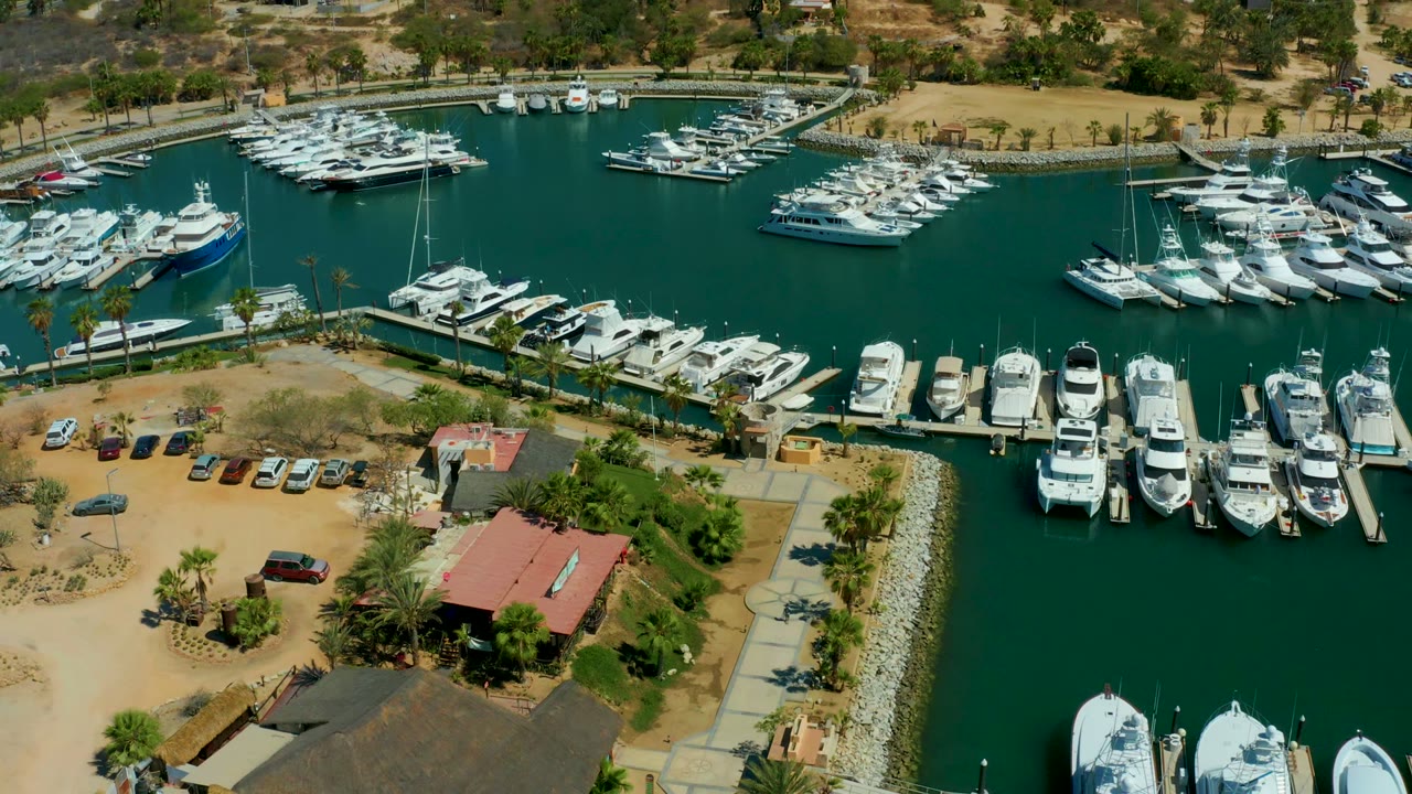 High aerial marina view with docked yachts, green water, cars, and palms near shore.