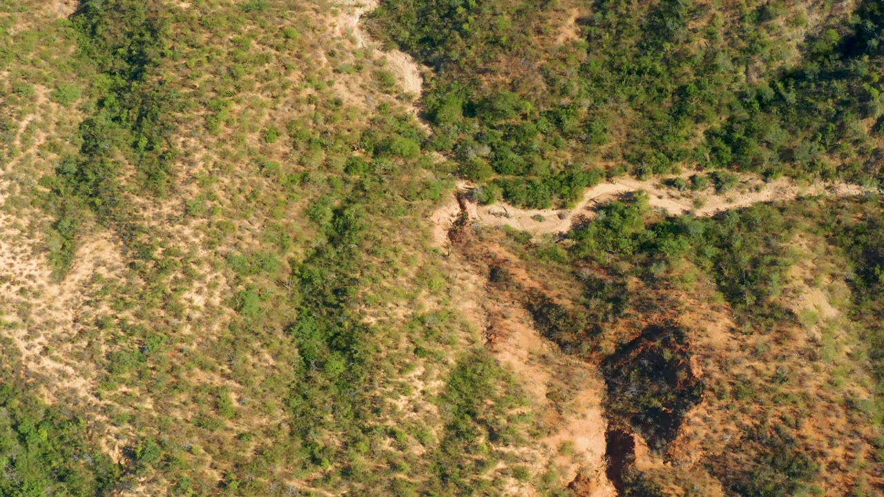 Aerial frame over El Salado Viejo Los Cabos showing a pale winding dirt road across scrubby green and brown hills, with no visible people.
