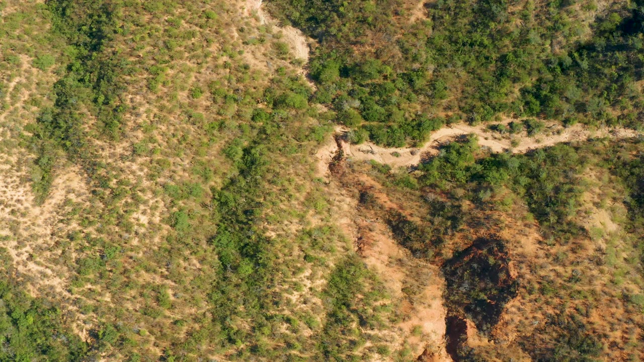 Winding dirt road crossing scrubby hillside terrain.