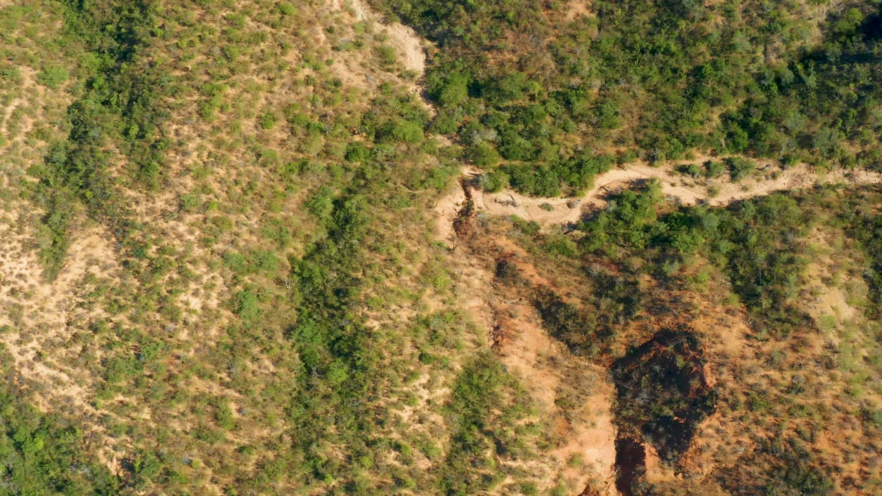 Aerial frame over El Salado Viejo Los Cabos showing the road cutting through dense green patches and dry exposed soil, with no visible people.