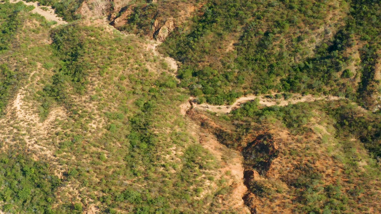 Aerial frame over El Salado Viejo, Los Cabos, showing a winding dirt road across scrub-covered hills with no visible people.