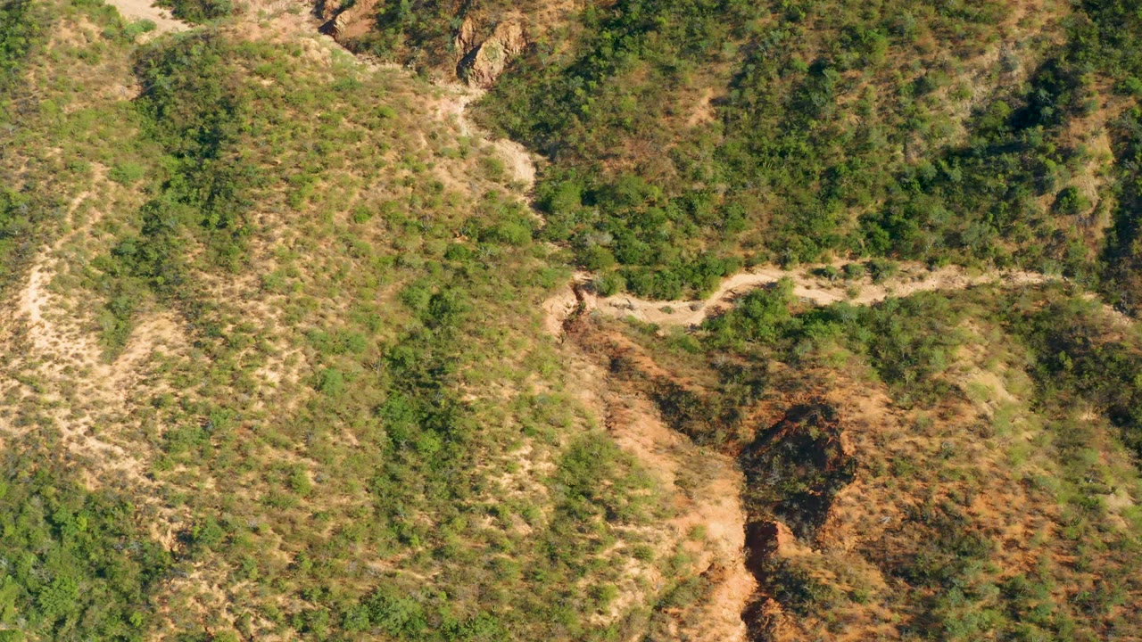 The road stays centered in an aerial El Salado Viejo hillside view, bordered by patchy green vegetation, tan soil, and no visible people.