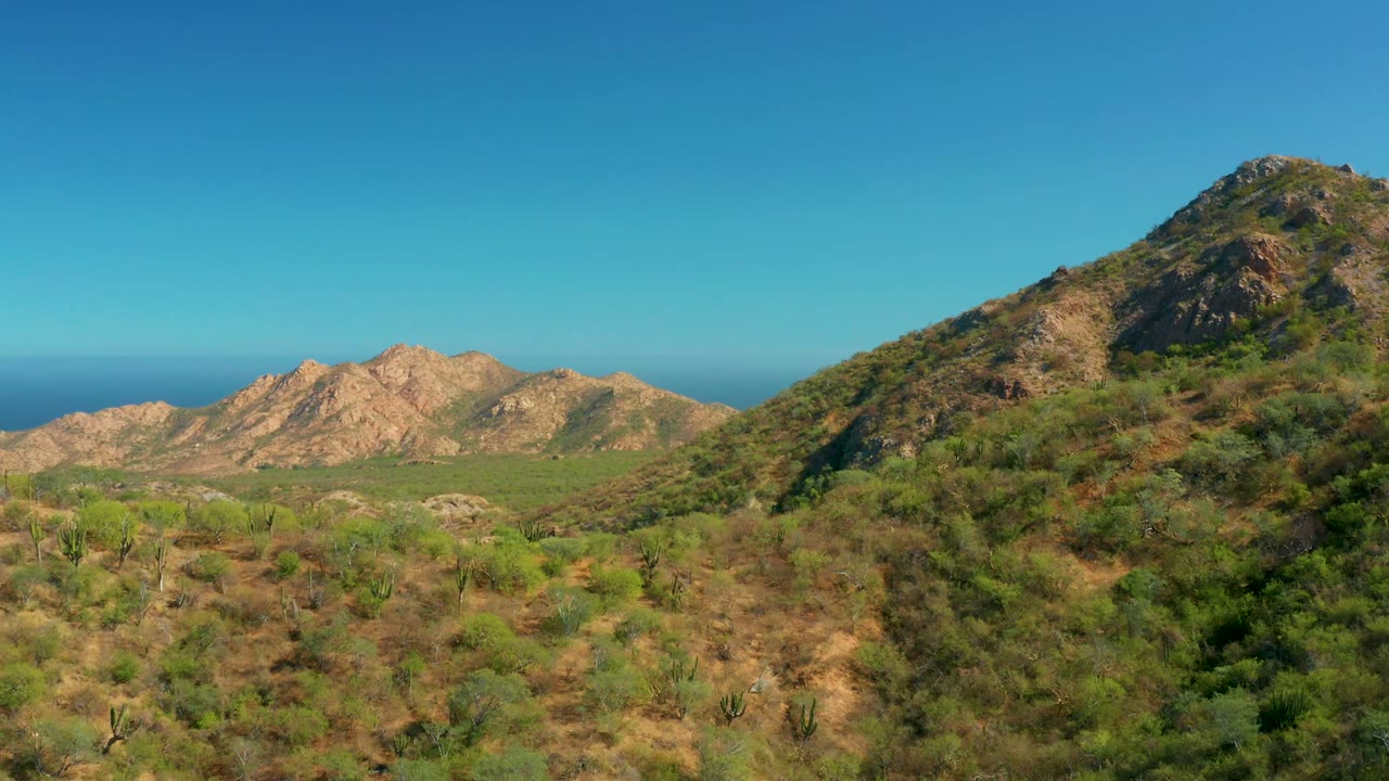 Cacti and green shrubs in a dry valley below tan hills and ocean horizon.