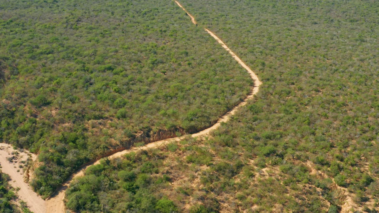 Curving dirt path bordered by scrub and dry soil.