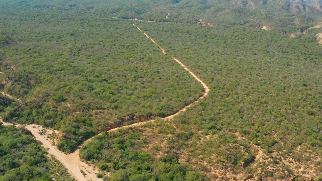 Curving dirt road crossing dense green vegetation and dry hillsides.