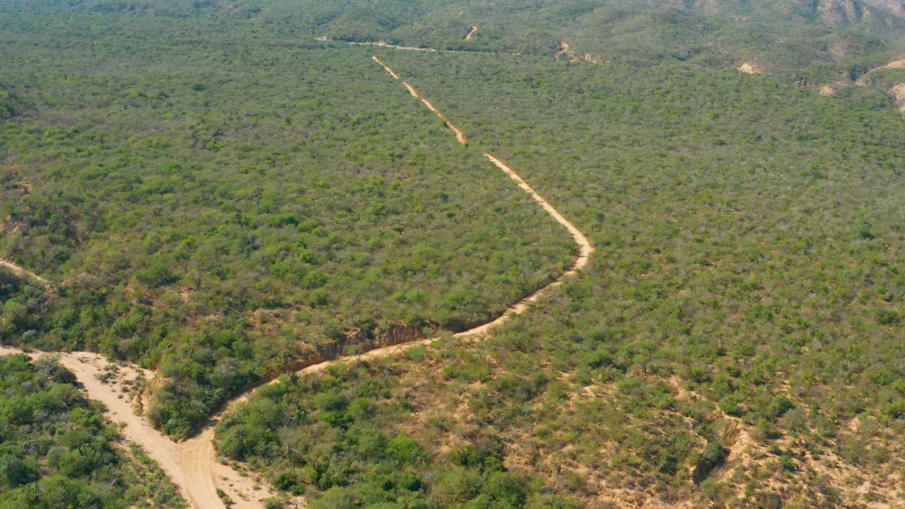 Drone-like aerial view in Baja California Sur showing the pale road cutting a diagonal path through low green forest and uneven dry terrain, with no visible people.