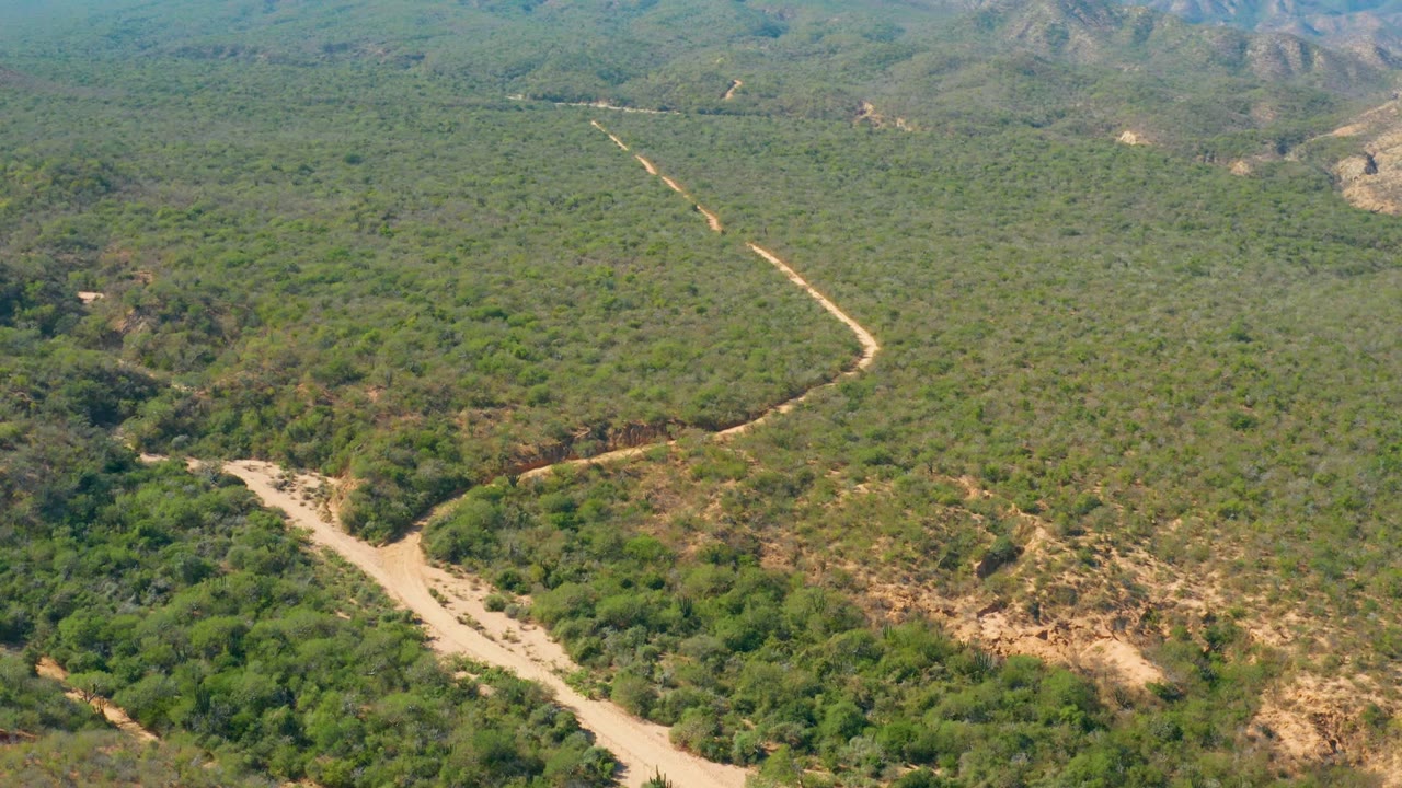 Winding dirt track through dense green hillside vegetation