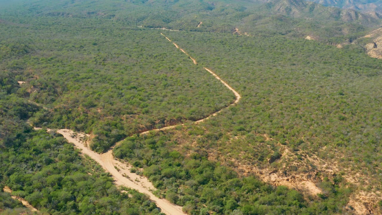 The road bends through green and brown hills in El Salado Viejo Los Cabos, with distant mountain slopes at the top of frame and no visible people.