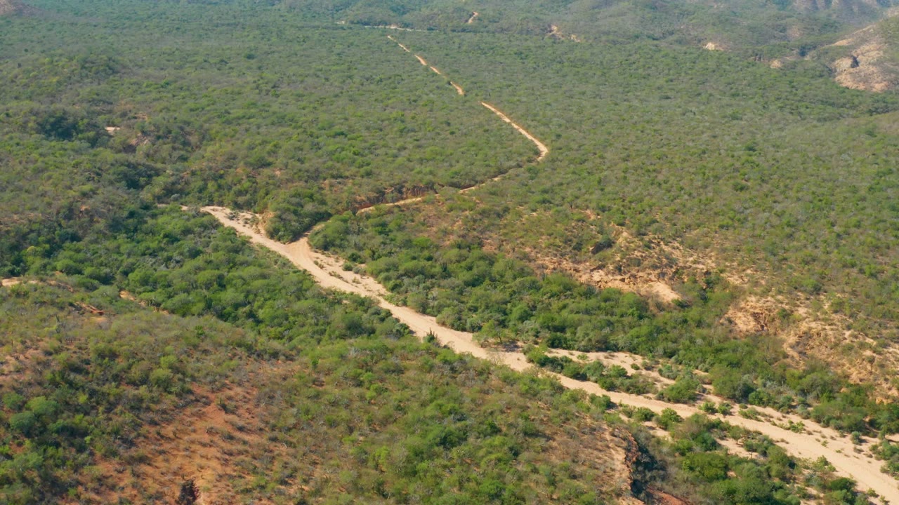 Aerial view in El Salado Viejo Los Cabos showing a pale dirt road curving through dense green vegetation and low hills, with no visible people.