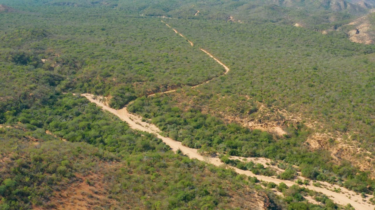 Curving dirt road crossing a wooded valley from above.