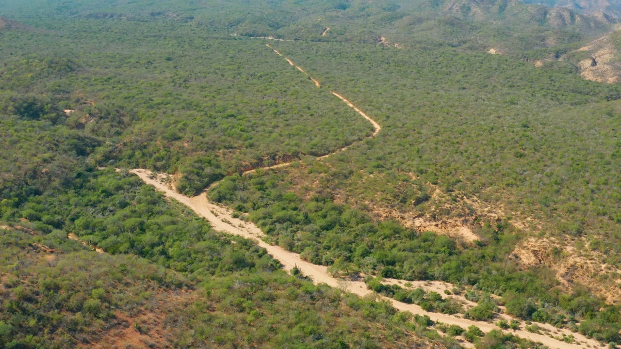 Wide aerial view in El Salado Viejo Los Cabos with a light dirt track winding between green brush, tan exposed ground, and hazy hills, with no visible people.