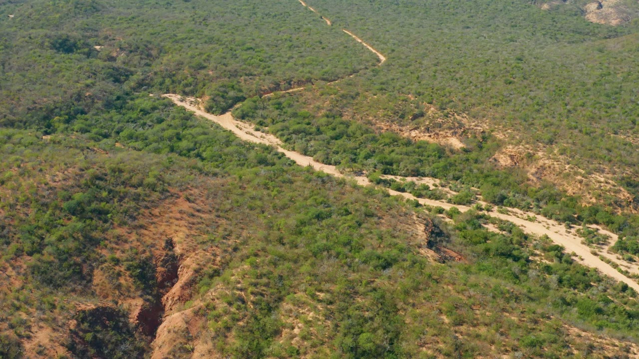 Aerial frame over El Salado Viejo Los Cabos with the dirt road running diagonally through green vegetation, tan clearings, rocky outcrops, and no visible people.