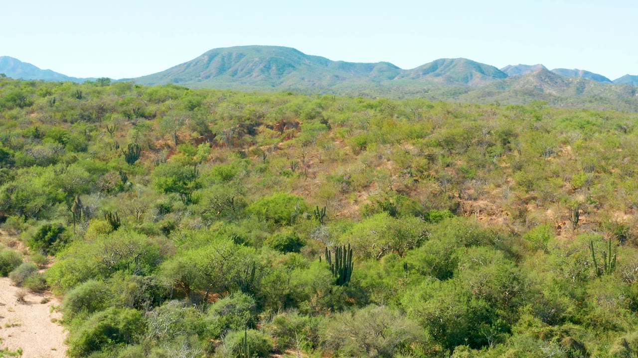 At 0:02, arid El Salado Viejo terrain shows a mix of pale dirt, green shrubs, and tall cacti beneath a broad mountain horizon, with no visible people.