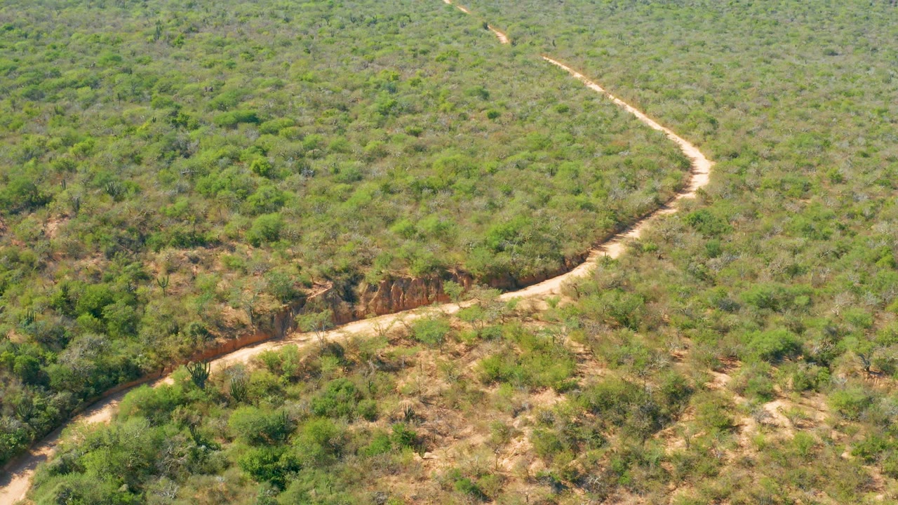 Curving dirt road surrounded by shrubs and dry terrain
