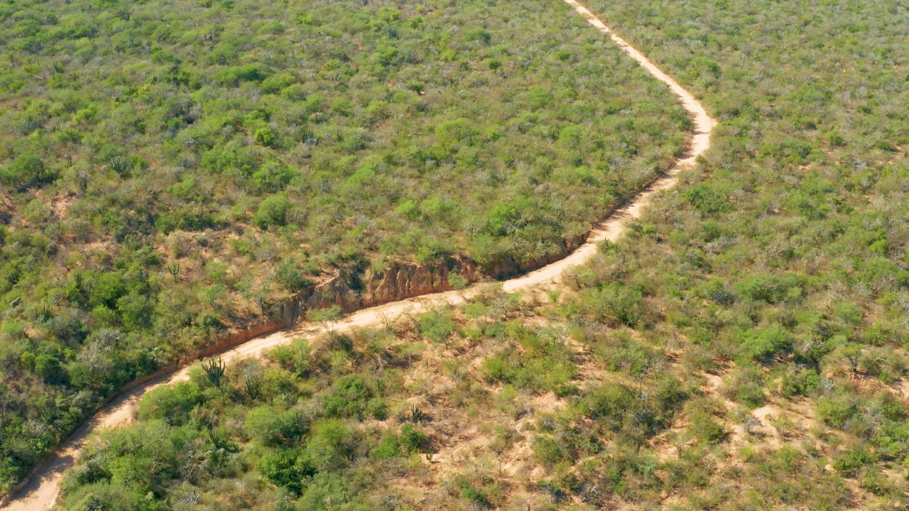 Winding dirt road bordered by green scrub and dry earth
