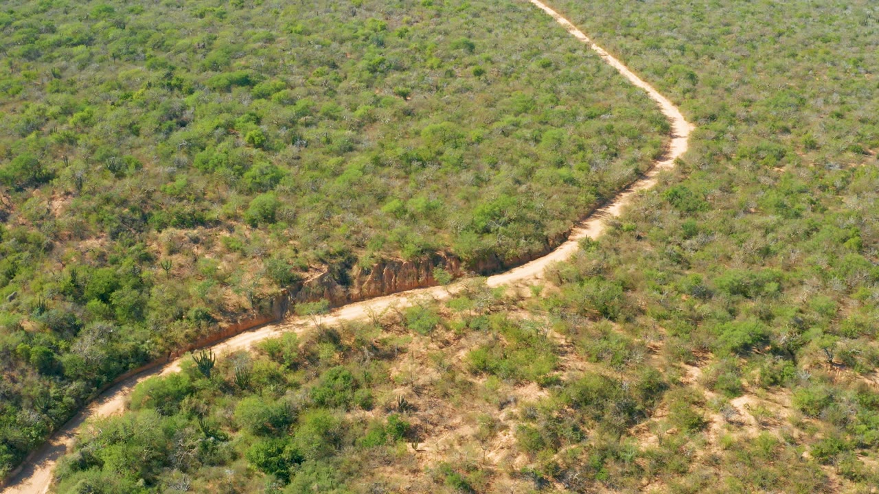 High aerial view in El Salado Viejo Los Cabos, Mexico, showing the pale road curving across a broad field of green shrubs with dry exposed soil and no visible people.
