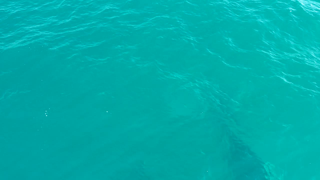 The whale remains below the surface in clear turquoise water at El Tule Los Cabos, partly softened by ripples and glare, with no visible people.