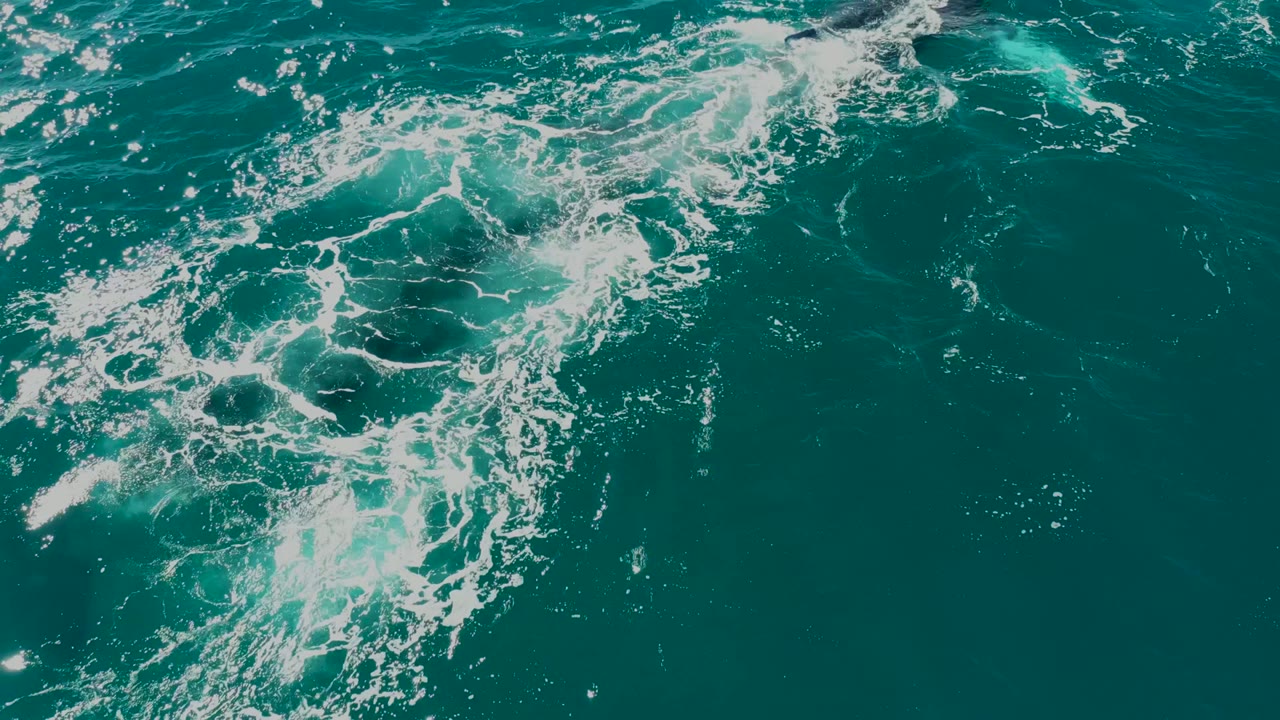 Foamy circular disturbance in turquoise ocean water