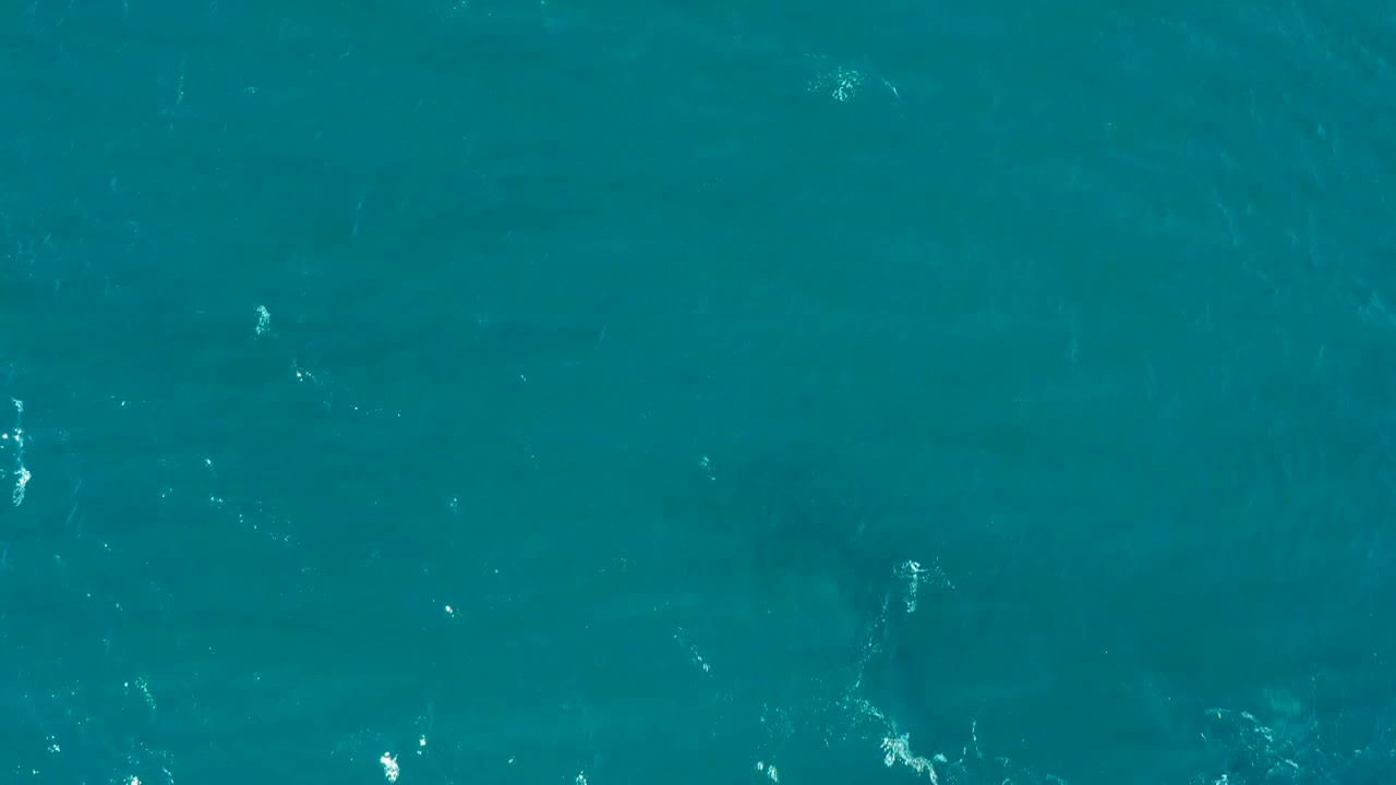 Clear blue-green water with dark submerged form