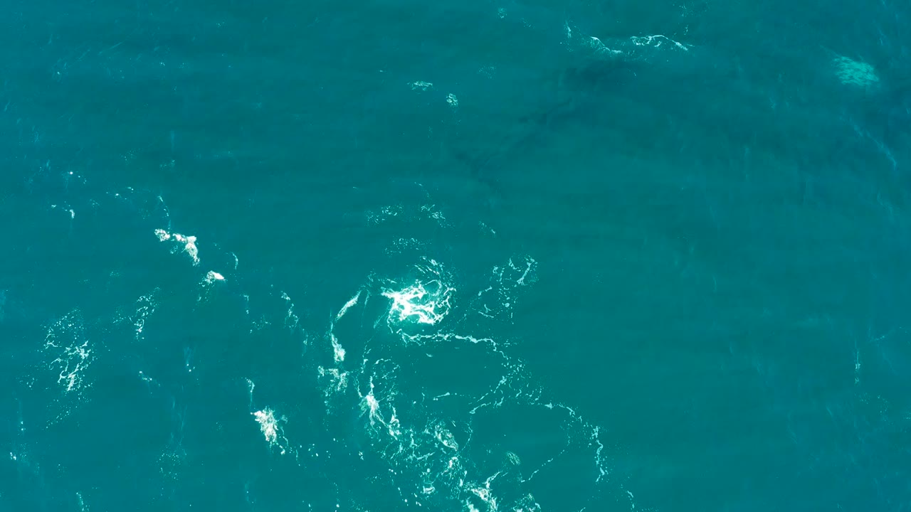 Overhead view of turquoise water at El Tule Los Cabos with small white bubble clusters near the left side and no visible people.