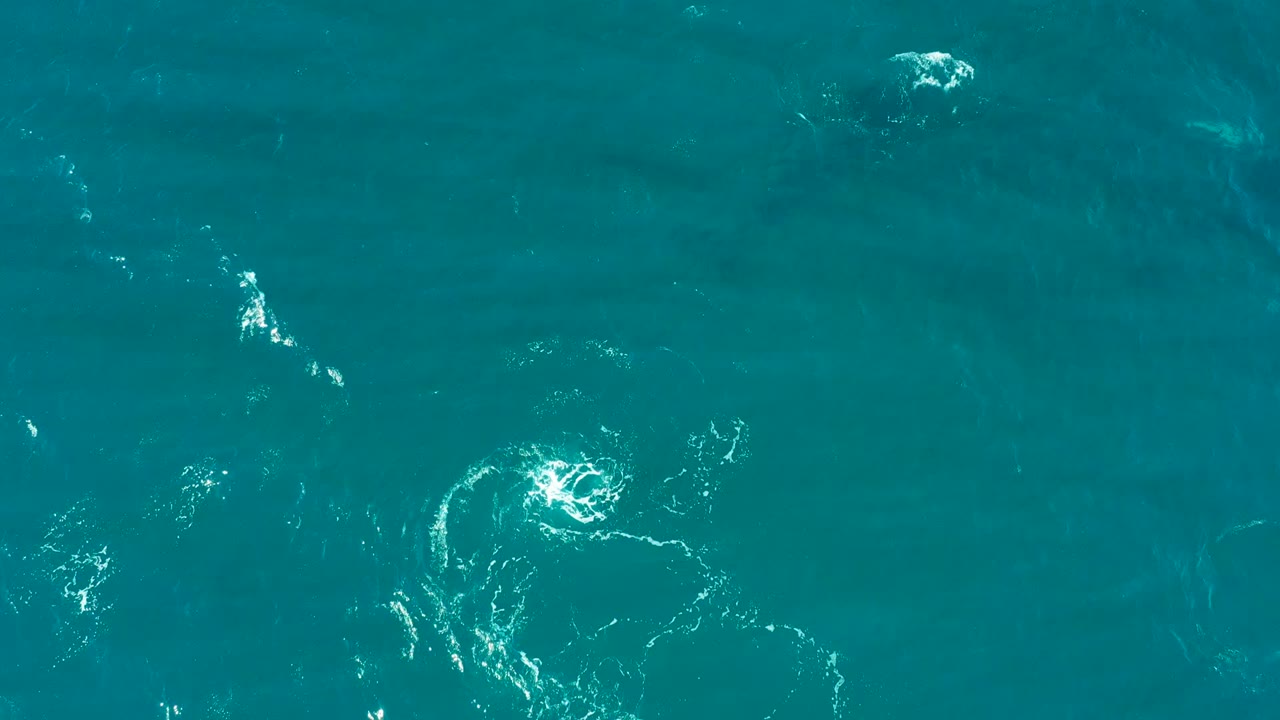 Turquoise water with a bright foam swirl