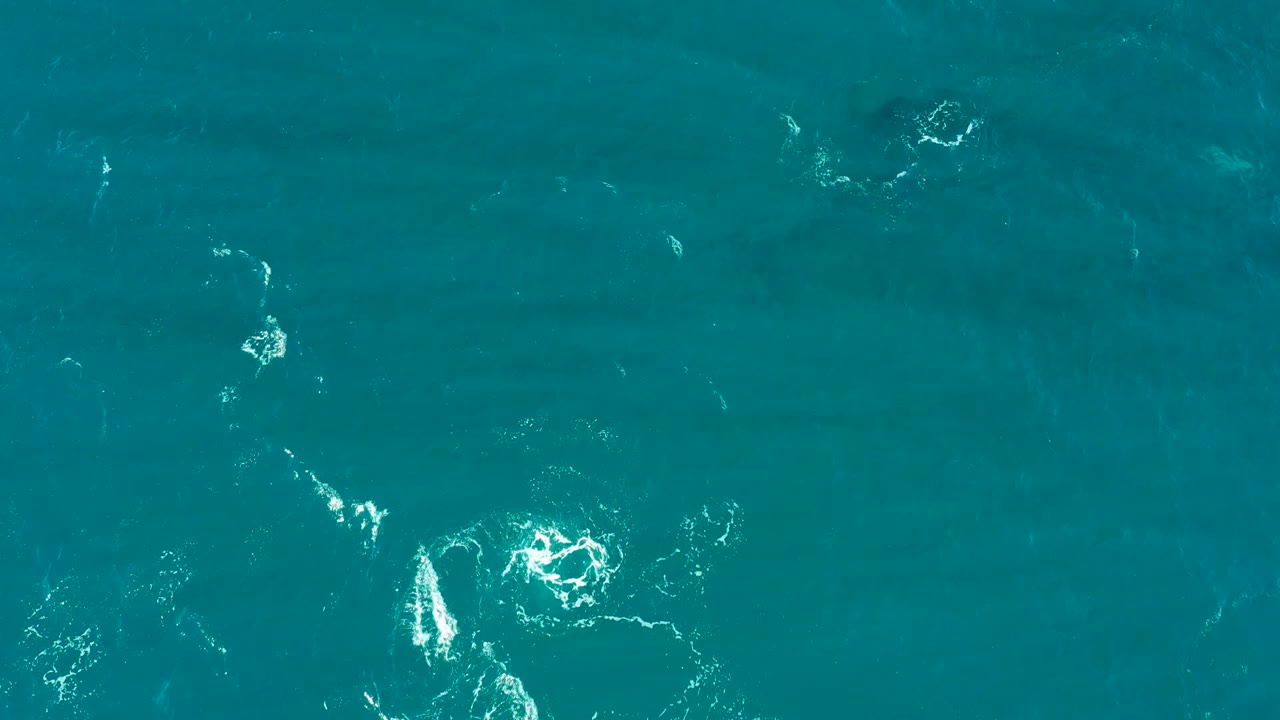 Overhead El Tule Los Cabos ocean view with several separated white bubble patches spread across the frame and no visible people.