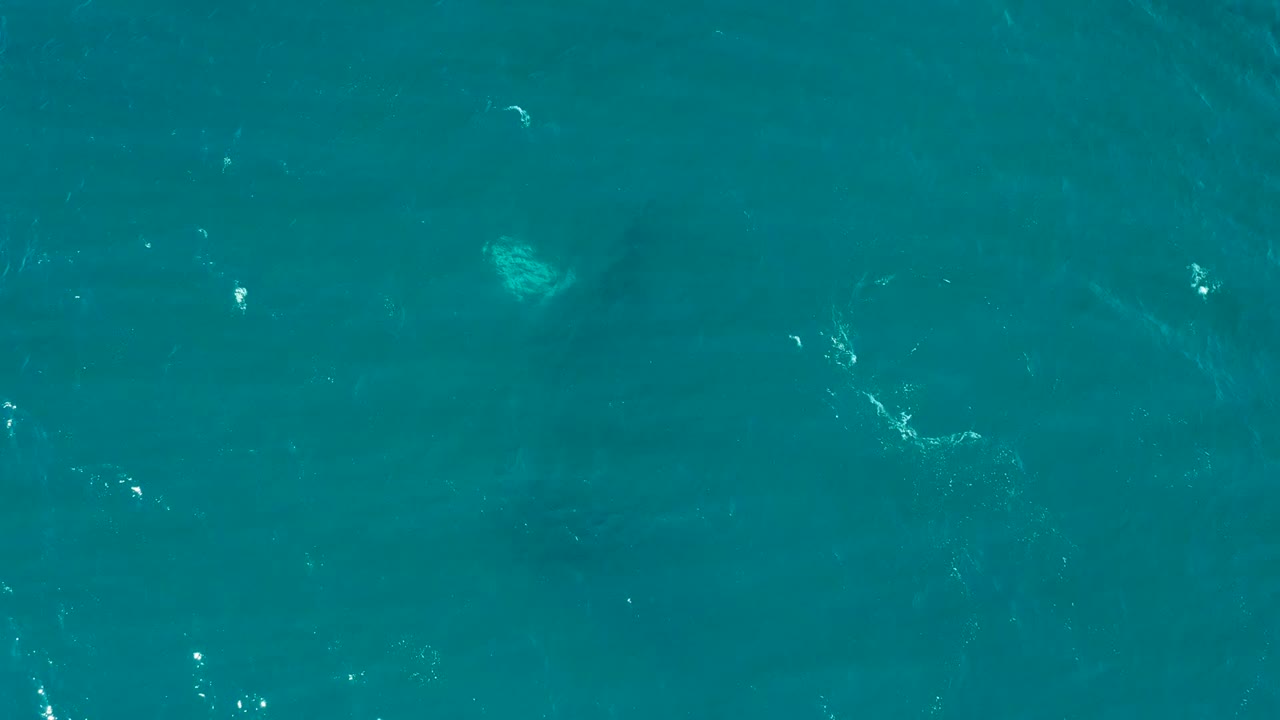 Clear turquoise water with small white ripples and submerged dark patches.